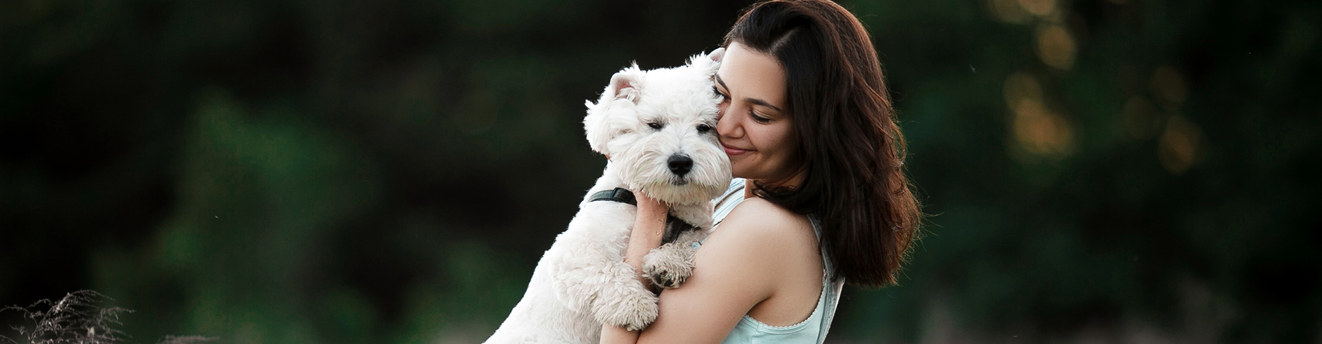 Woman hugging Westie in forest