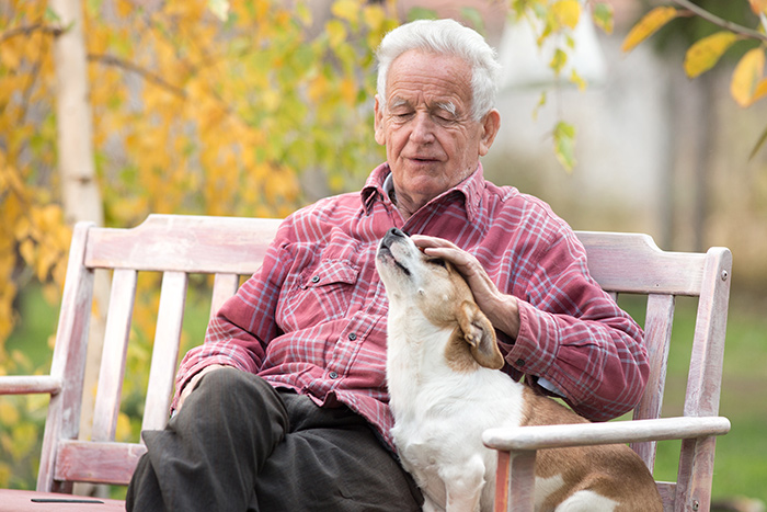 Old man and a dog sitting on bench under the tree