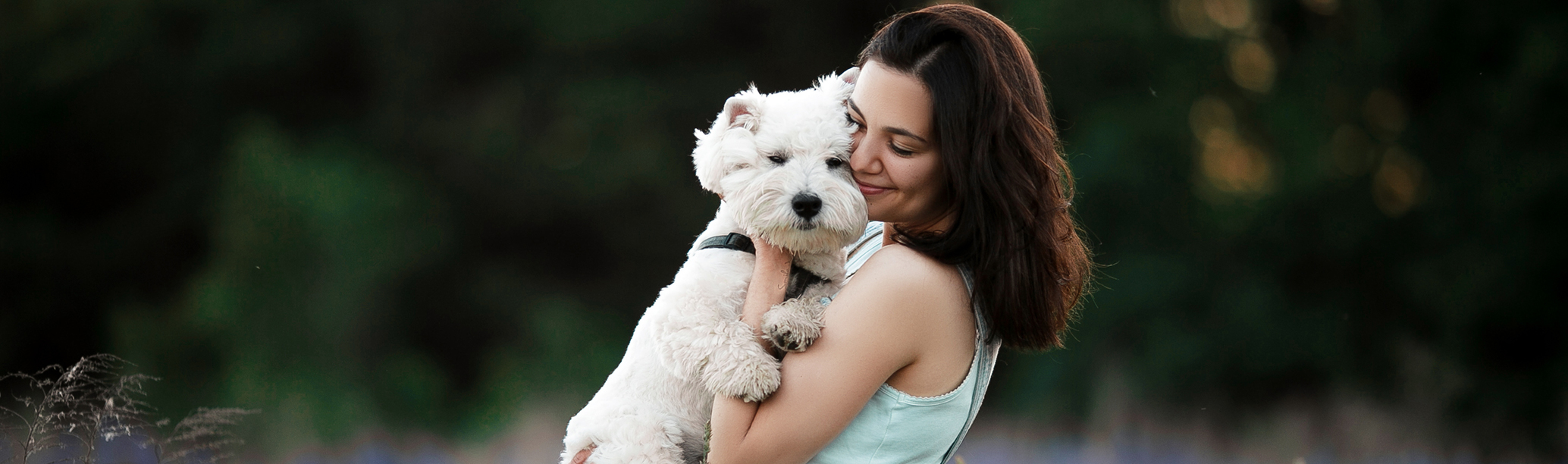 Woman hugging Westie